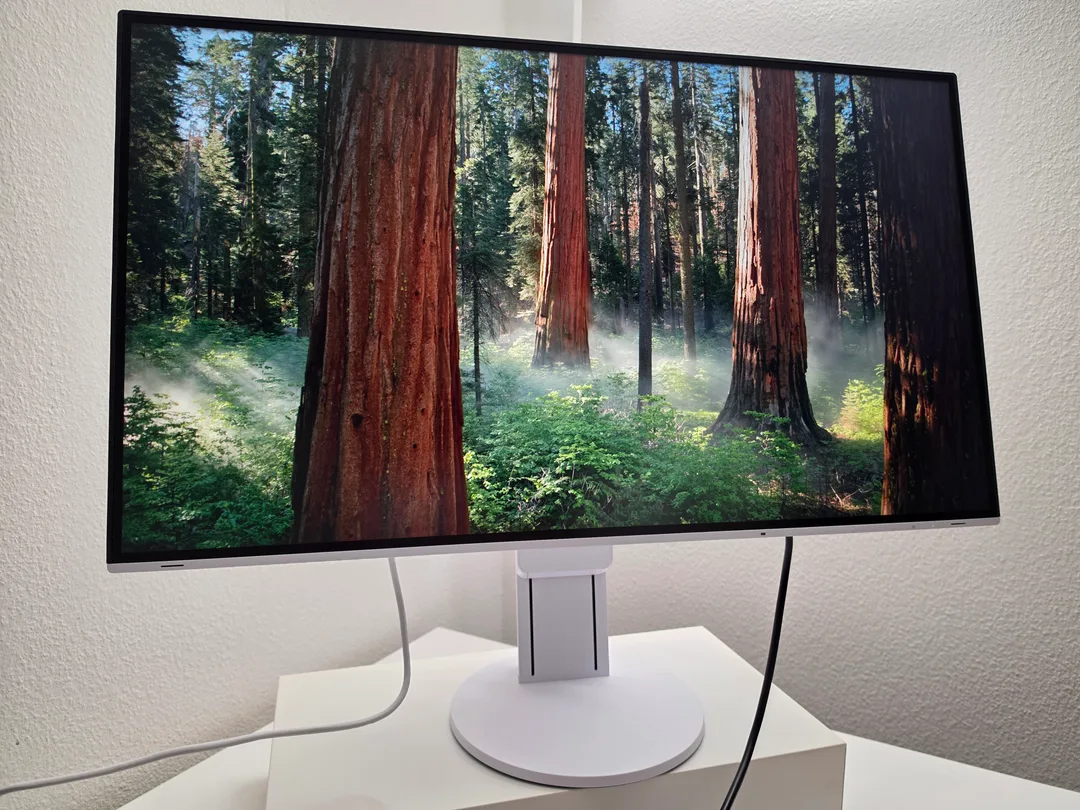 Eizo EV3285 32 Zoll Monitor